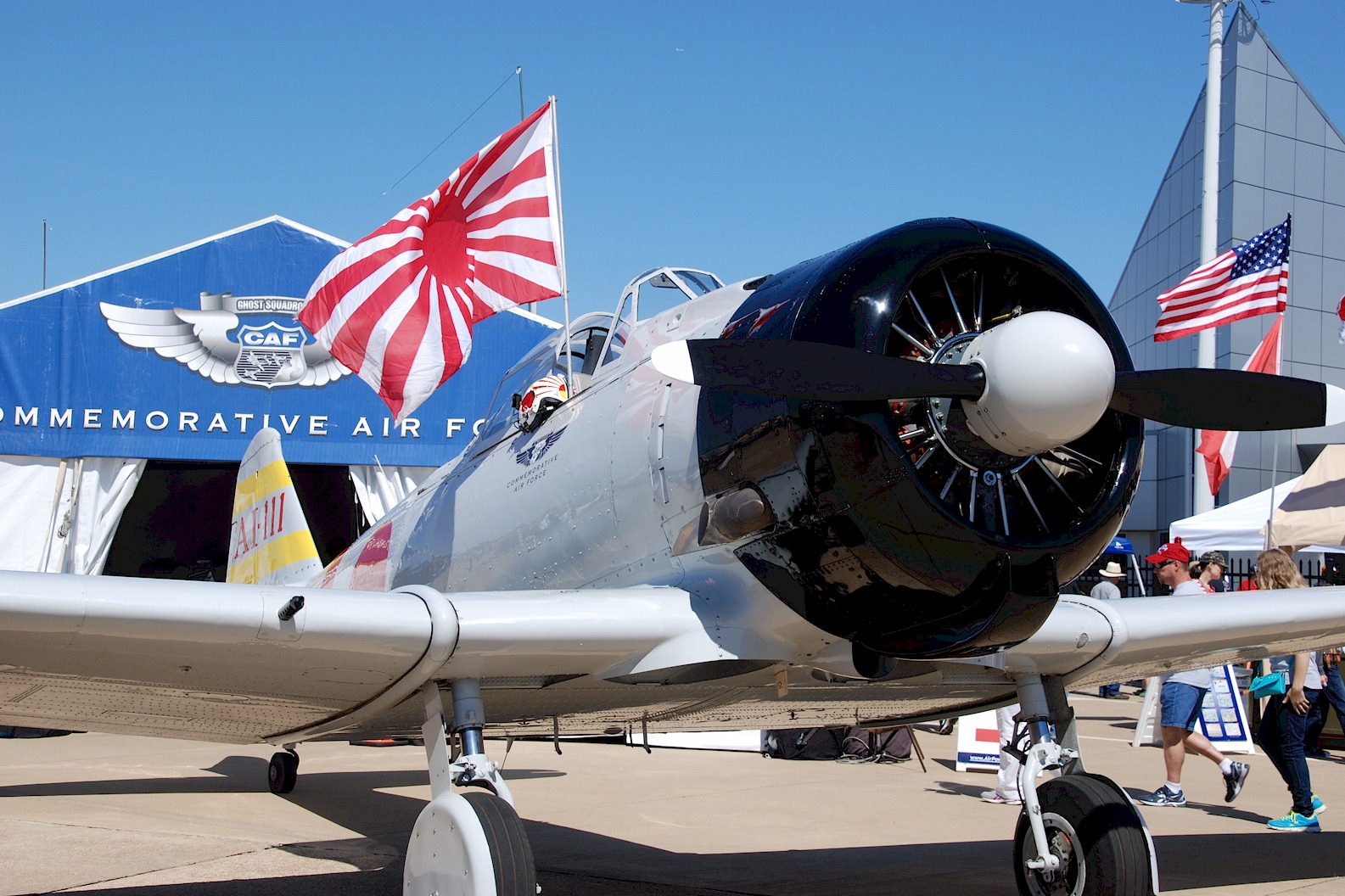 Japanese Zero (or is it?)