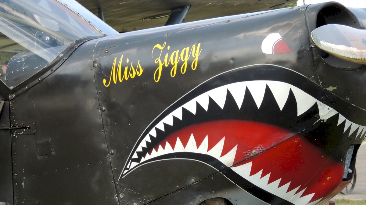 Don't mess with Miss Ziggy!